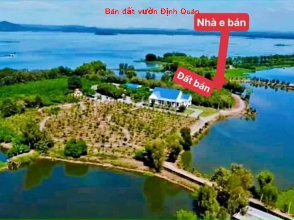 Bán đất Định Quán, đang trồng xoài, ngay Hồ Trị An mát mẻ