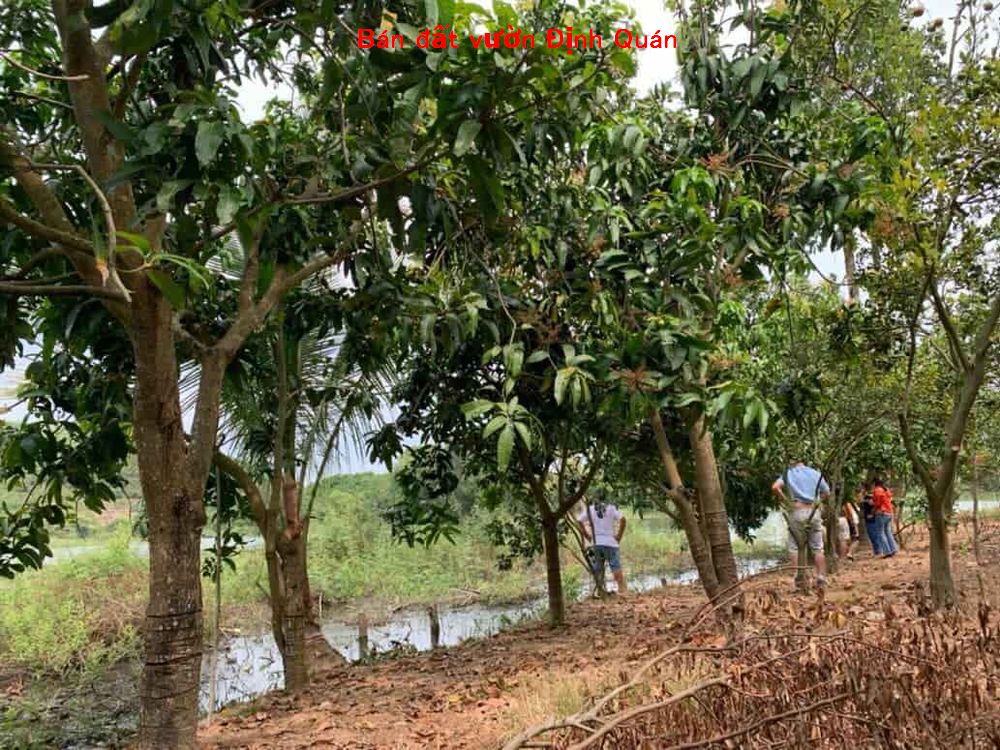 Bán gấp 2 lô đất vườn La Ngà Định Quán, ngay mép nước Hồ Trị An