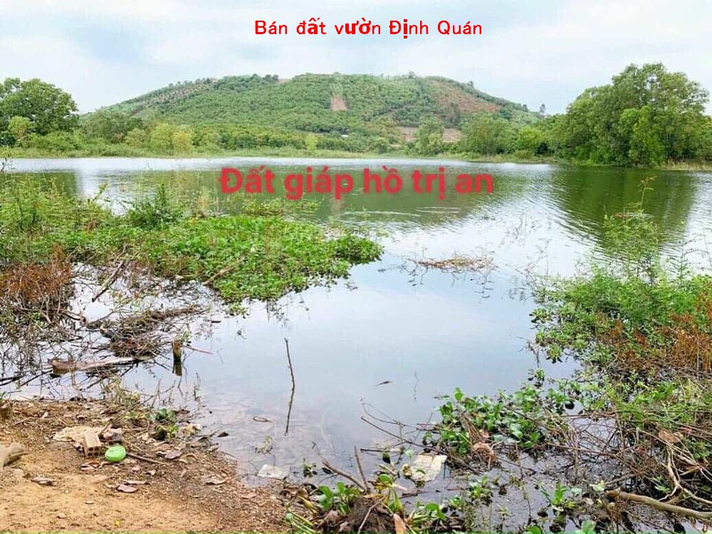 Bán gấp 2 lô đất vườn La Ngà Định Quán, ngay mép nước Hồ Trị An