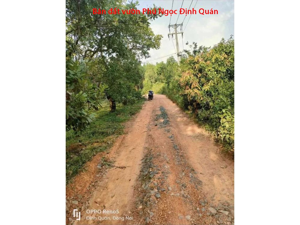 Bán gấp vườn xoài Phú Ngọc Định Quán giá chỉ 550tr / 1300m2