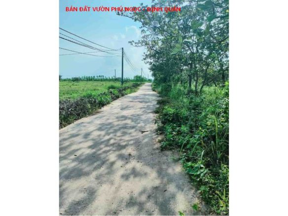 Bán lô đất vườn Phú Ngọc, đường betong gần quốc lộ 20