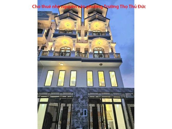 Cho thuê nhà nguyên căn đường 11 phường Trường Thọ Thủ Đức