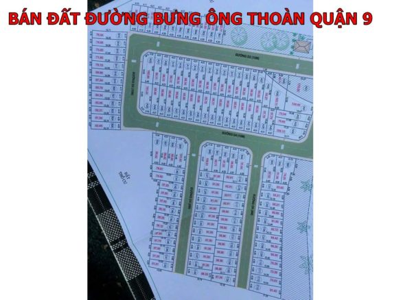 Giỏ hàng đất nền Bưng Ông Thoàn Tp Thủ Đức