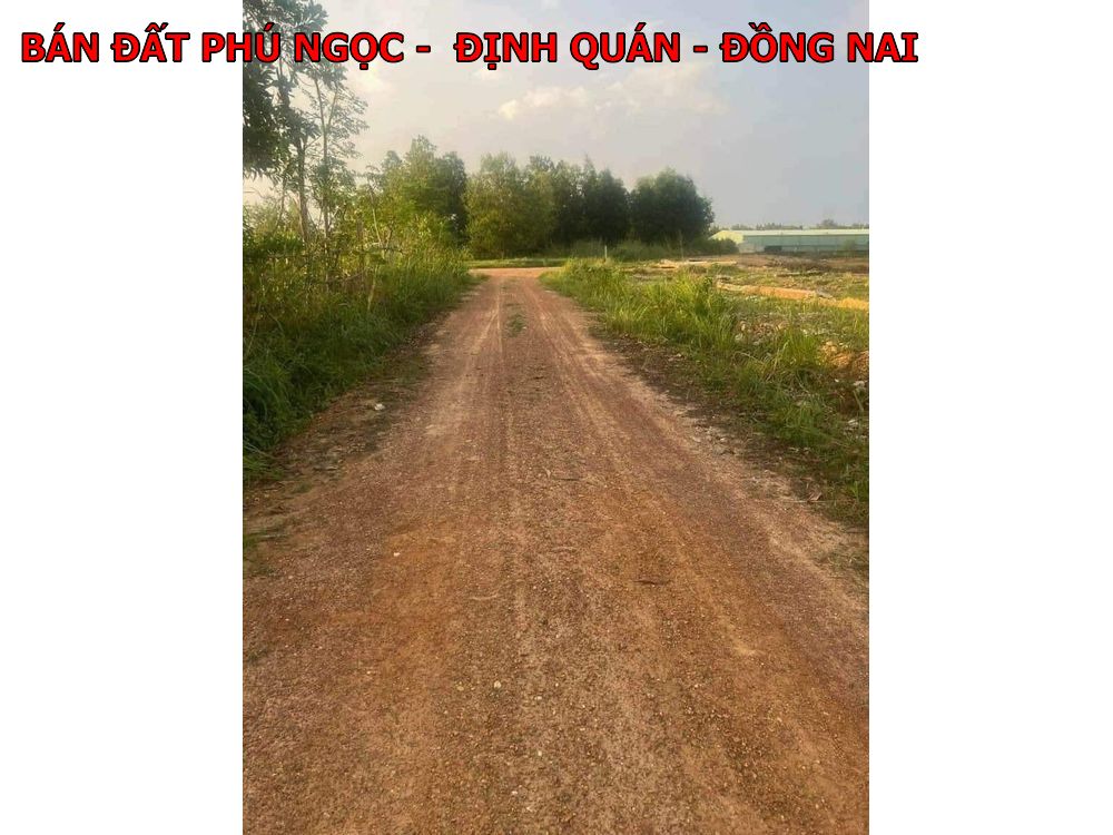 Bán đất Phú ngọc – Định Quán – Đồng Nai giá chỉ 345tr
