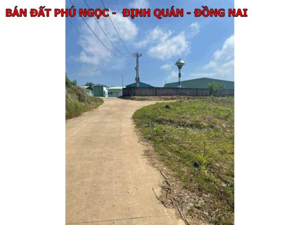 Bán đất Phú ngọc - Định Quán - Đồng Nai giá chỉ 345tr