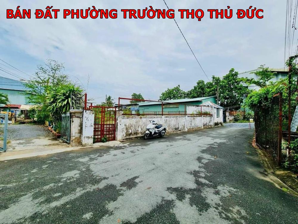Bán đất biệt thự đường 12 phường Trường Thọ Thủ Đức