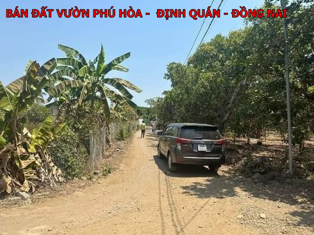 Bán đất vườn Phú Hòa Định Quán Đồng Nai giá chỉ 730tr có thổ cư