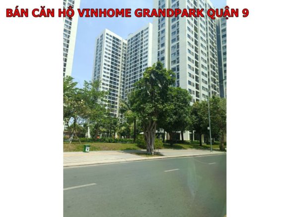 Gỉo hàng căn hộ Vinhome quận 9