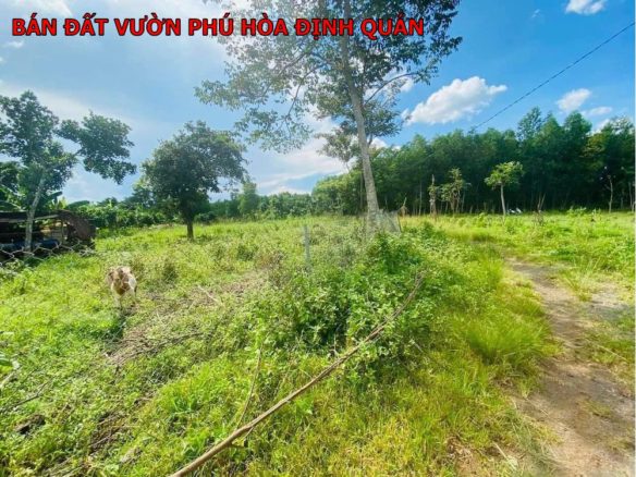 Bán đất vườn phú Hòa chỉ 390tr