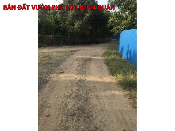 Đất vườn phú Lợi Định Quán cần bán giá 750tr