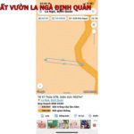 Tính chất