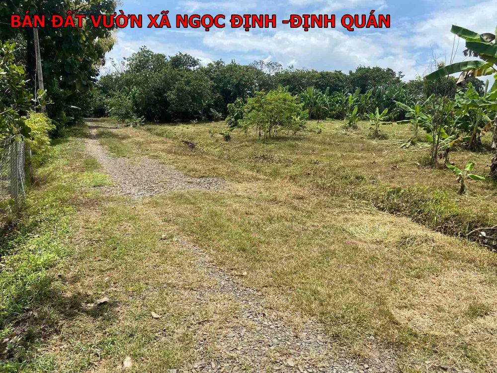 Bán sỉ hoặc lẻ 9 lô đất xào Ngọc Định- Định Quán giá chỉ 6xxtr/ lô