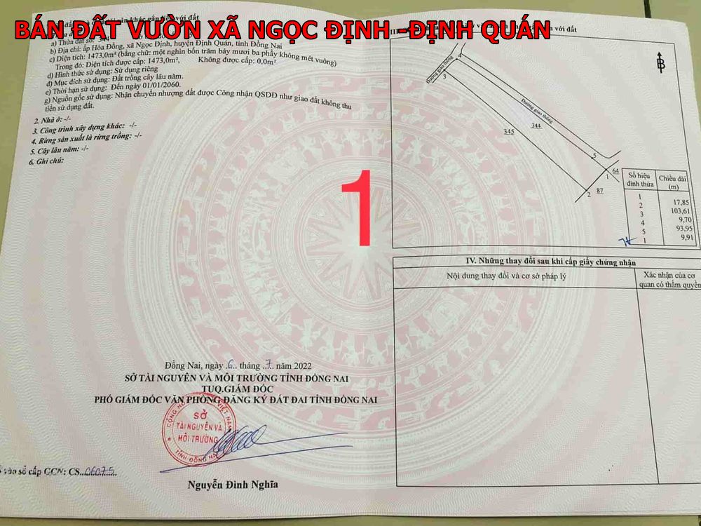 Bán sỉ hoặc lẻ 9 lô đất xào Ngọc Định- Định Quán giá chỉ 6xxtr/ lô