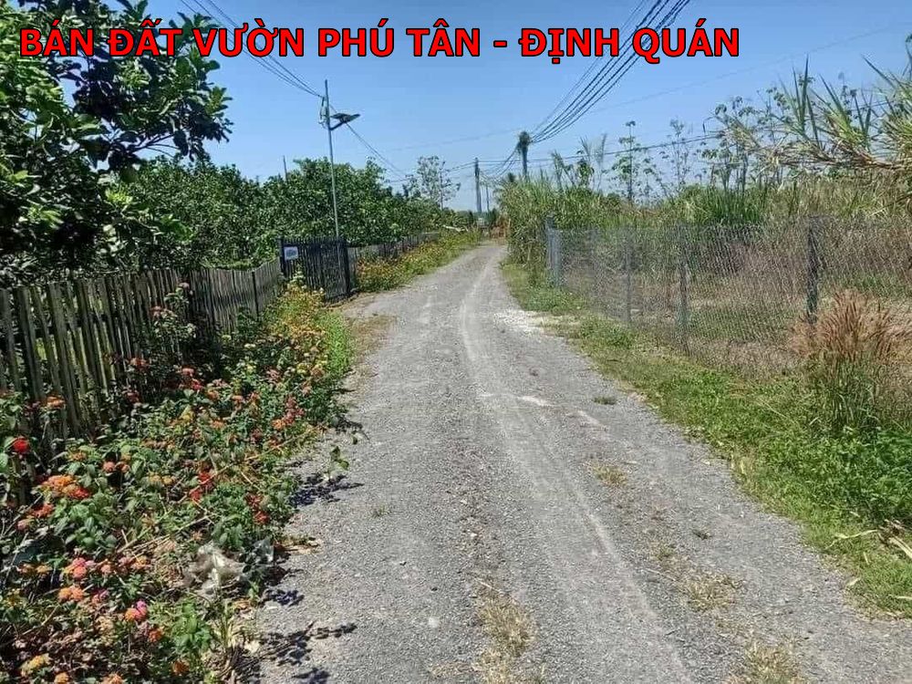 Bán đất vườn Phú Tân Định Quán giá rẻ