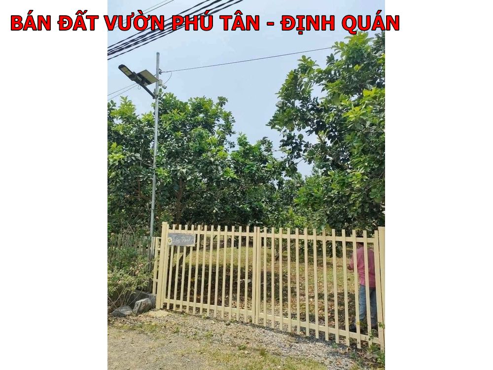 Bán đất vườn Phú Tân Định Quán giá rẻ