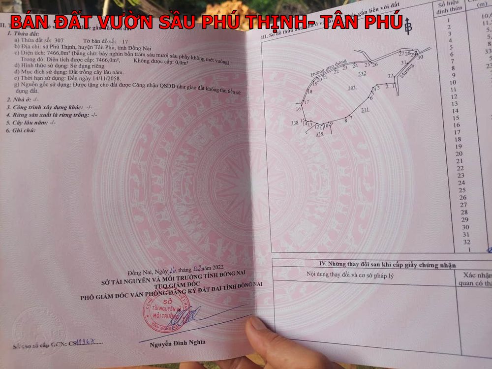Bán vườn sầu riêng xã Phú Thịnh – Tân Phú giá chỉ 350tr/sào