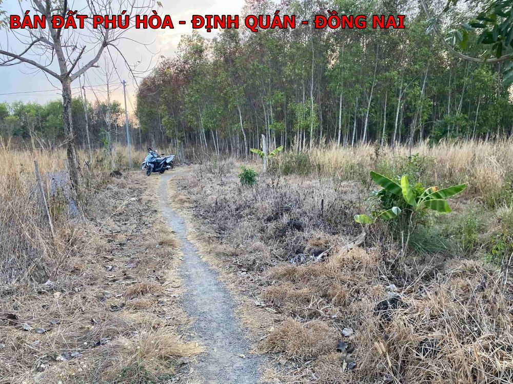 Bán đất vườn giá rẻ ngay Định Quán Đồng Nai, chỉ 360tr