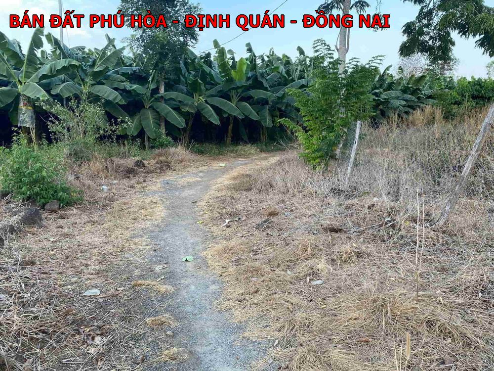Bán đất vườn giá rẻ ngay Định Quán Đồng Nai, chỉ 360tr