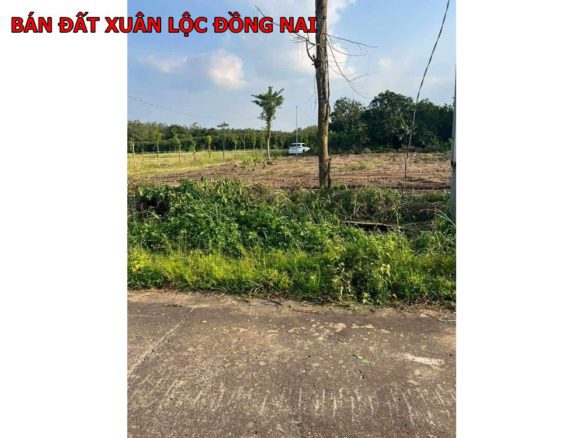 Bán đất Xuân lộc – Đồng Nai giá chỉ 550tr/1000m2
