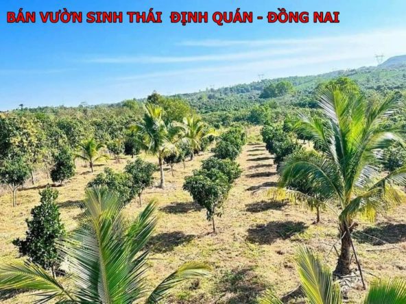 Bán vườn nghỉ dưỡng siêu đẹp ngay Định Quán Đồng Nai