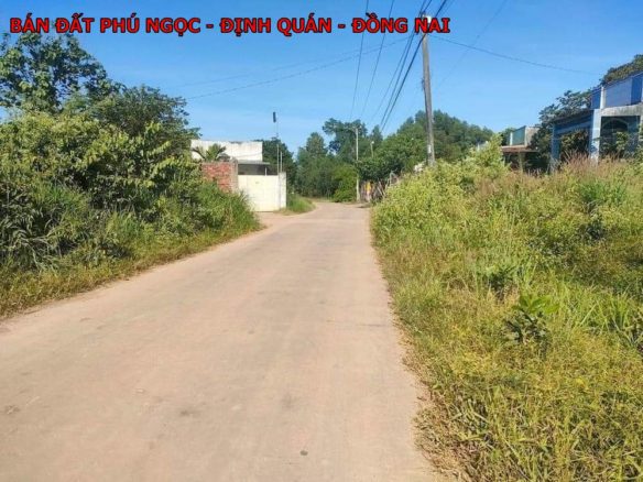 1 lô đất full hồng ngay Phú ngọc – Định Quán – Đồng Nai, gần quốc lộ 20