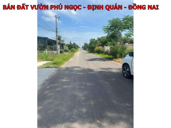 Đất đẹp Phú Ngọc Định Quán Đồng Nai 3200m2 mặt tiền nhựa giá chỉ 2,6 tỷ