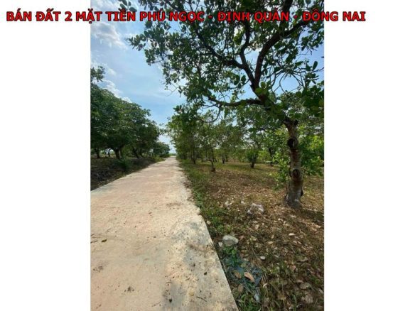Bán đất Phú Ngọc, Định Quán, Đồng Nai, diện tích 1400m lô góc 2 mặt tiền