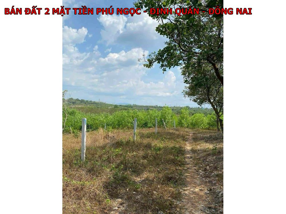 Bán đất Phú Ngọc, Định Quán, Đồng Nai, diện tích 1400m lô góc 2 mặt tiền
