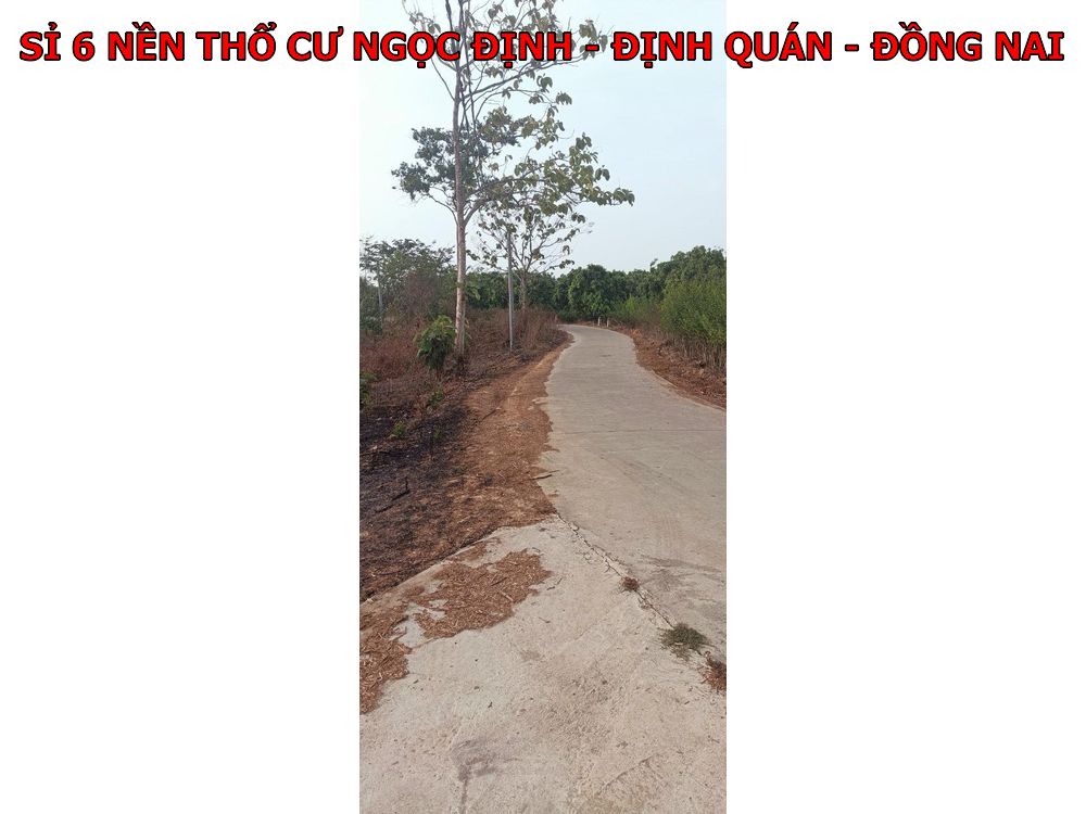 Sỉ 6 nền đất thổ cư tạo Ngọc Định – Định Quán, chỉ 370tr/ nền