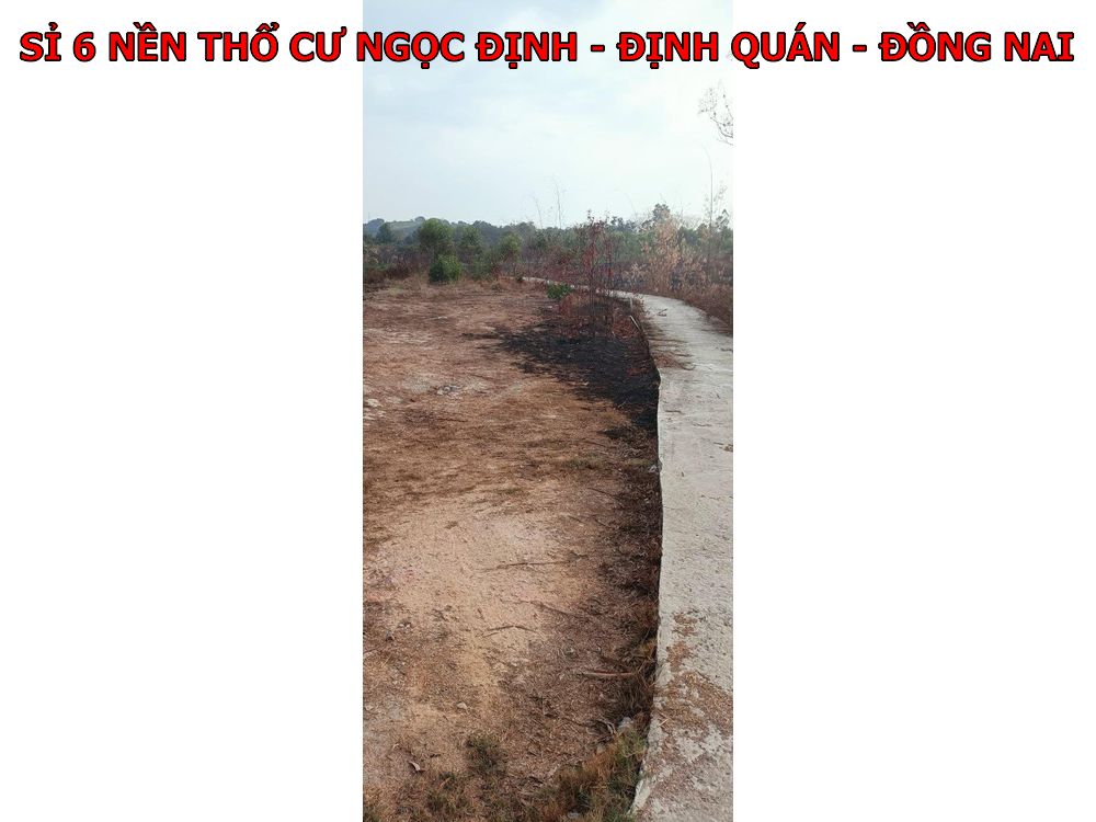 Sỉ 6 nền đất thổ cư tạo Ngọc Định – Định Quán, chỉ 370tr/ nền