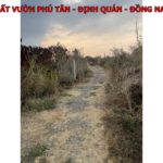 Đất Định Quán dưới 400tr, sổ hồng riêng