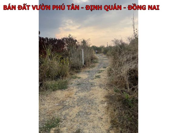 Đất Định Quán dưới 400tr, sổ hồng riêng