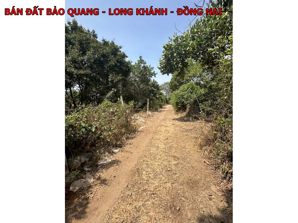 Bán đất Bảo Quang, Long Khánh, 1500m2 mà giá chỉ 1,35 tỷ