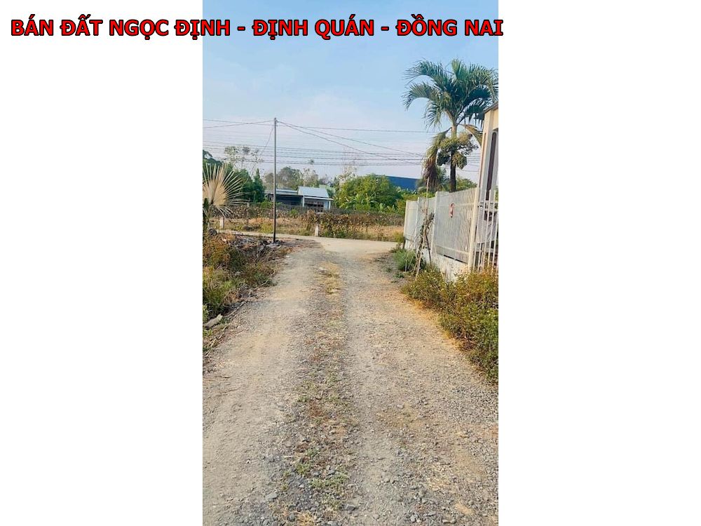 Bán đất vườn Ngọc Định, Định Quán, Đồng Nai, 1000m2 phủ hồng, ngay dân cư, có nhà cấp 4 giá chỉ 699tr