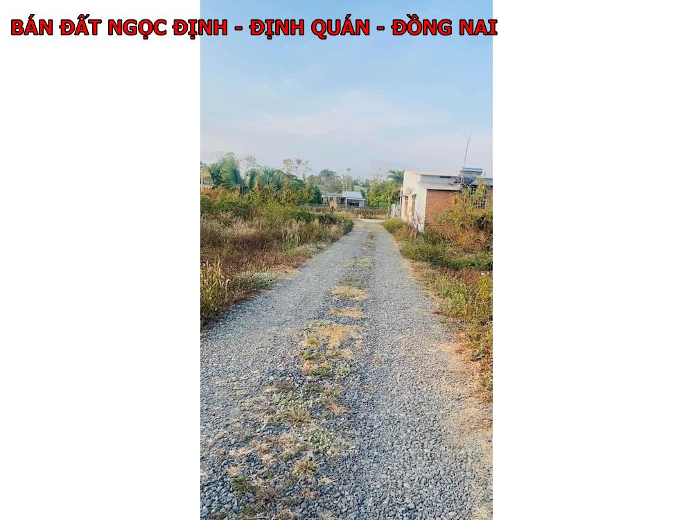 Bán đất vườn Ngọc Định, Định Quán, Đồng Nai, 1000m2 phủ hồng, ngay dân cư, có nhà cấp 4 giá chỉ 699tr