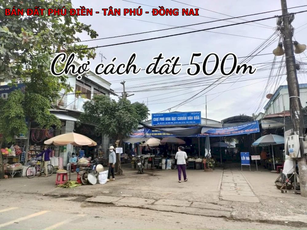 Bán gấp đất Phú Điền, Tân Phú, Đồng Nai – Giá chỉ 570 triệu! Chủ Cần tiền xoay sở!