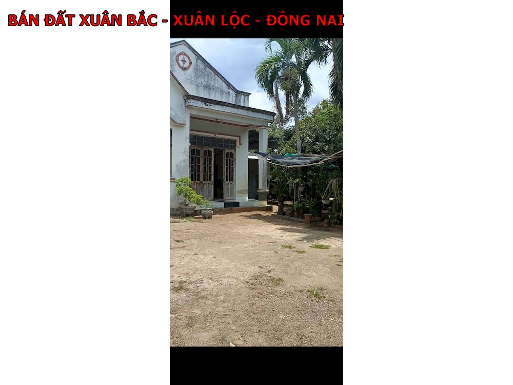 1 Lô đất rất đẹp, ngay Xuân Bắc, sổ vuông vắn, có nhà, có vườn cây ăn trái giá chỉ 600tr/1000m2