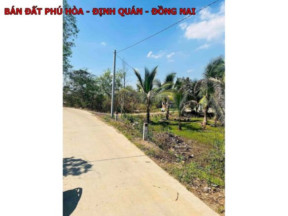 Bán gấp lô đất Phú Hòa – Định Quán, 1100m2 có sẵn 100m thổ cư, giá 700tr