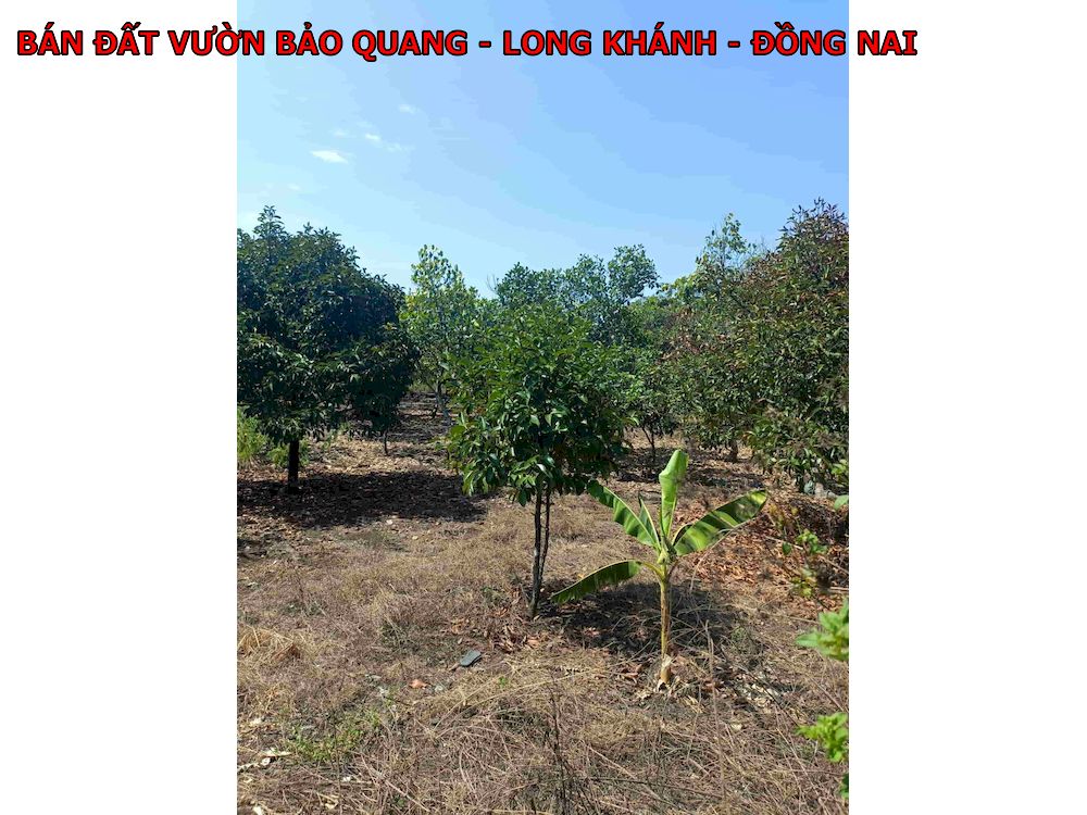 Bán đất vườn Bảo Quang Long Khánh, đường betong , ngay khu dân cư