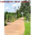Bán đất vườn Xuân Tây Cẩm Mỹ, Đồng Nai, đang trồng sầu thái năm 9