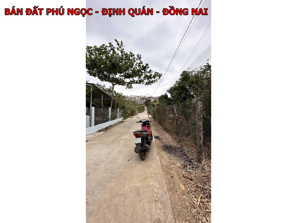 Đất vườn xoài Phú Ngọc Định Quán, có 100m thổ cư, gần quốc lộ 20