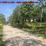 Bán đất vườn xoài La Ngà, Định Quán, Đồng Nai, chủ kẹt tiền bán lỗ 1 nửa