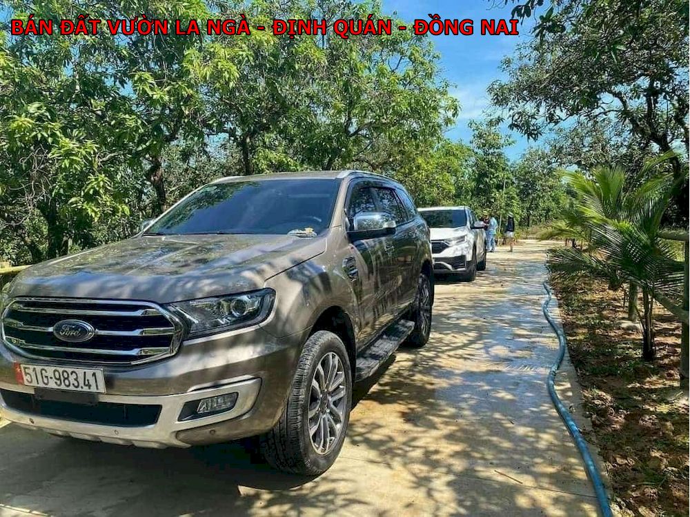 Bán đất vườn xoài La Ngà, Định Quán, Đồng Nai, chủ kẹt tiền bán lỗ 1 nửa