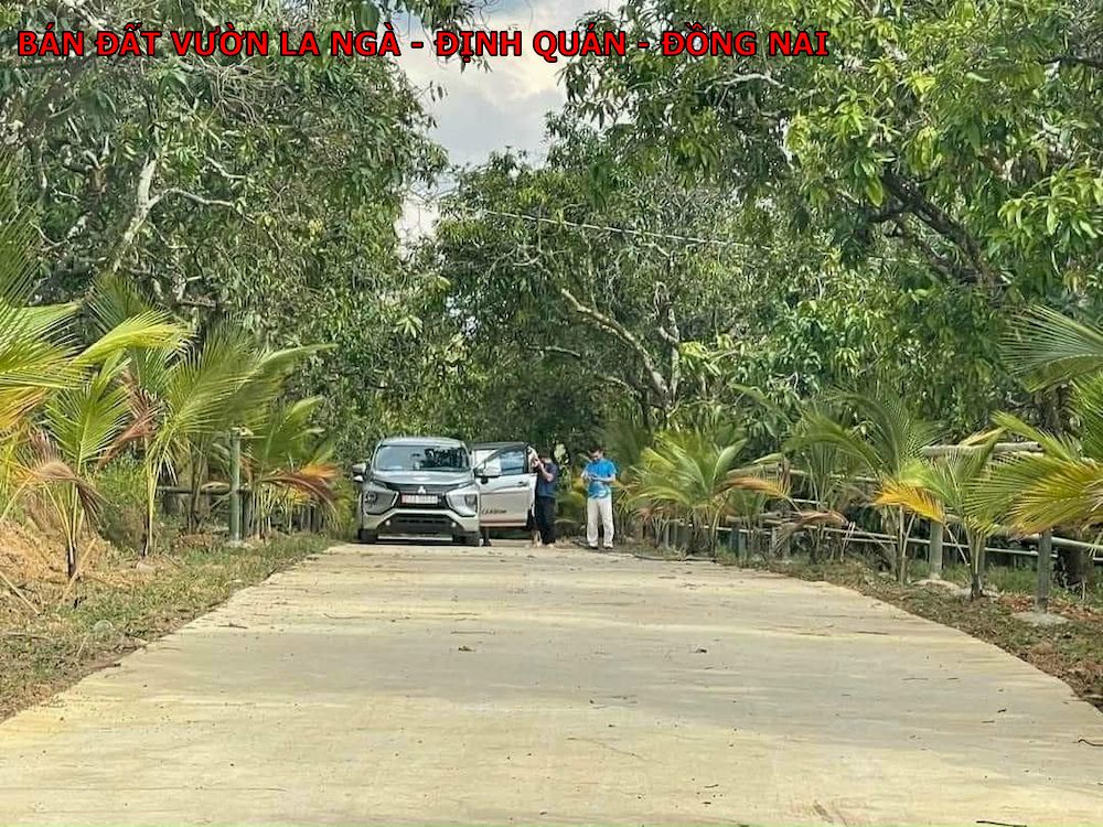 Bán đất vườn xoài La Ngà, Định Quán, Đồng Nai, chủ kẹt tiền bán lỗ 1 nửa
