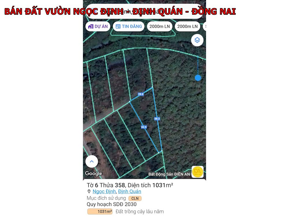 Bán đất vườn Ngọc Định, diện tích 1000m giá chỉ 550tr