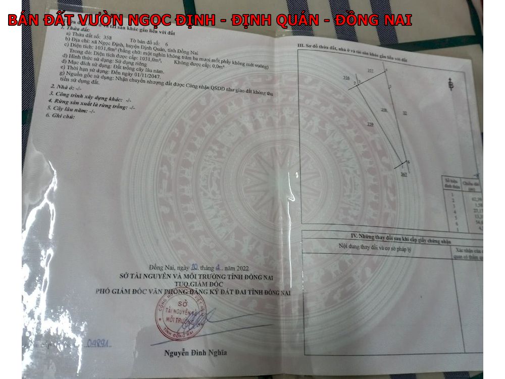 Bán đất vườn Ngọc Định, diện tích 1000m giá chỉ 550tr