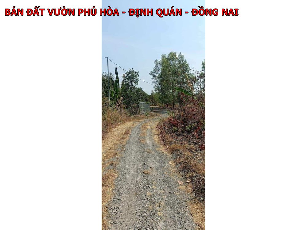 Bán 7 lô đất vườn Phú Hòa – Định Quán – Đồng Nai