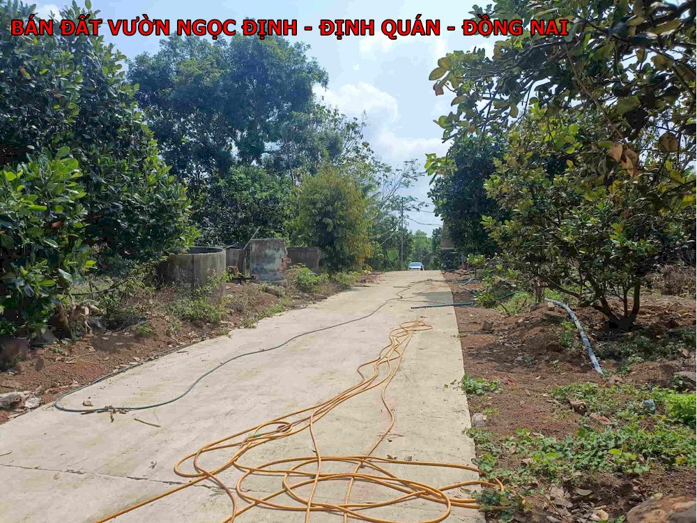Bán đất vườn Ngọc Định, diện tích 1000m giá chỉ 550tr