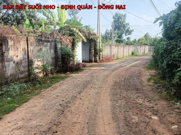 Bán đất vườn tại Suối Nho, Định Quán, Đồng Nai. 1300m2 giá chỉ 800tr