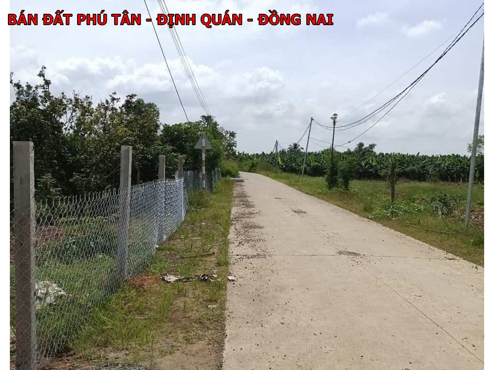 Bán lô đất vườn bưởi Phú Tân, Định Quán, 2 mặt tiền đường đẹp
